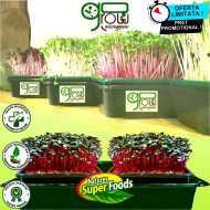 Kit Duo Go_Grow | Crestere Microplante | Sistem Hidroponic