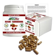 Ganoderma - Reishi | 120 Capsule Bioactive | 50gr