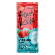 Aqua Kick Powder | Vitamine & Minerale | 10gr